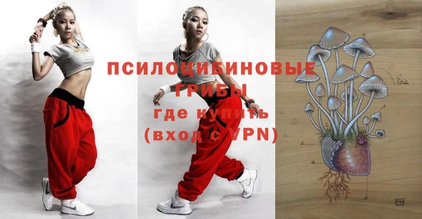 хмурый Абдулино