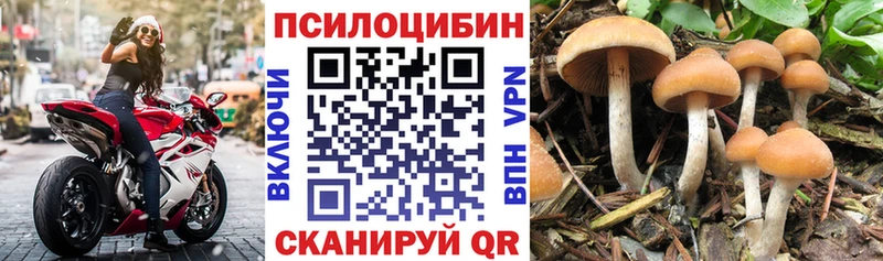 Псилоцибиновые грибы ЛСД  Стерлитамак 