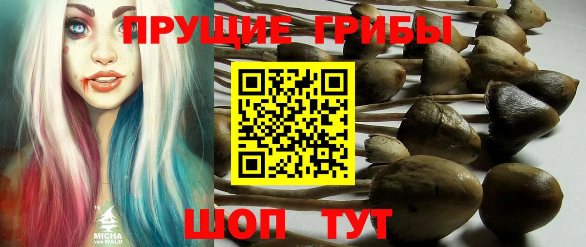 Стерлитамак  Галлюциногенные грибы Psilocybe  Псилоцибиновые грибы Magic Shrooms  Вход с VPN 