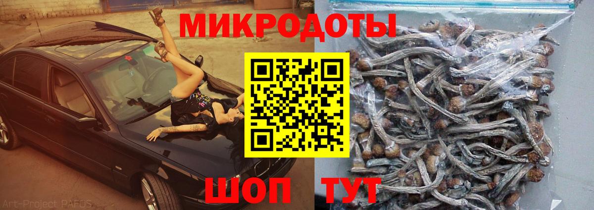 Псилоцибиновые грибы GOLDEN TEACHER Стерлитамак